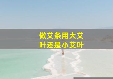 做艾条用大艾叶还是小艾叶