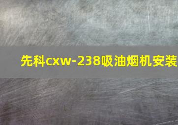 先科cxw-238吸油烟机安装