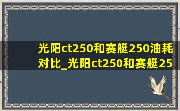 光阳ct250和赛艇250油耗对比_光阳ct250和赛艇250哪个油耗低