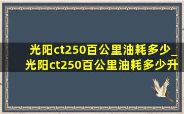 光阳ct250百公里油耗多少_光阳ct250百公里油耗多少升