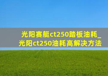 光阳赛艇ct250踏板油耗_光阳ct250油耗高解决方法