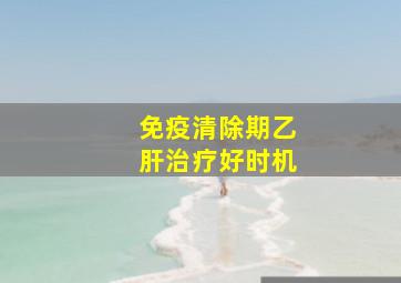 免疫清除期乙肝治疗好时机