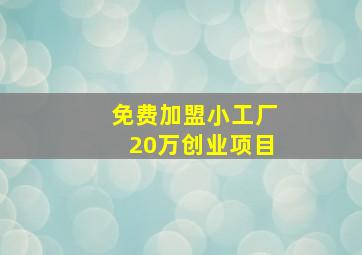 免费加盟小工厂20万创业项目