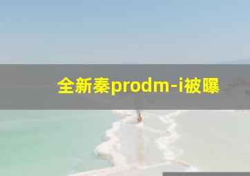 全新秦prodm-i被曝