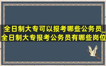 全日制大专可以报考哪些公务员_全日制大专报考公务员有哪些岗位