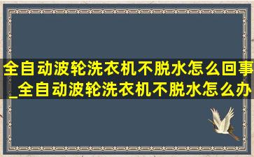 全自动波轮洗衣机不脱水怎么回事_全自动波轮洗衣机不脱水怎么办