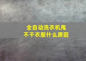 全自动洗衣机甩不干衣服什么原因