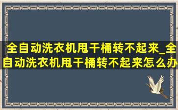 全自动洗衣机甩干桶转不起来_全自动洗衣机甩干桶转不起来怎么办