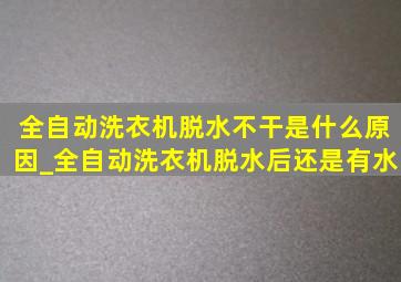 全自动洗衣机脱水不干是什么原因_全自动洗衣机脱水后还是有水