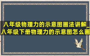 八年级物理力的示意图画法讲解_八年级下册物理力的示意图怎么画