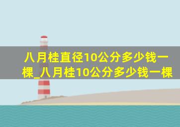 八月桂直径10公分多少钱一棵_八月桂10公分多少钱一棵