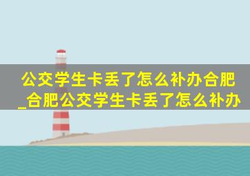 公交学生卡丢了怎么补办合肥_合肥公交学生卡丢了怎么补办