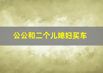 公公和二个儿媳妇买车