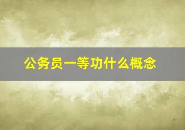 公务员一等功什么概念