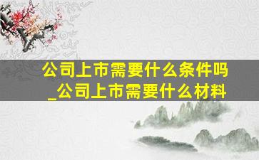 公司上市需要什么条件吗_公司上市需要什么材料