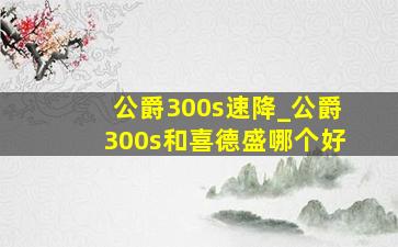 公爵300s速降_公爵300s和喜德盛哪个好