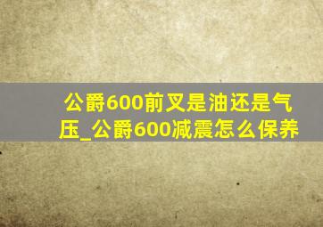 公爵600前叉是油还是气压_公爵600减震怎么保养