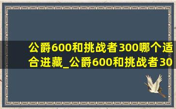 公爵600和挑战者300哪个适合进藏_公爵600和挑战者300哪个适合通勤