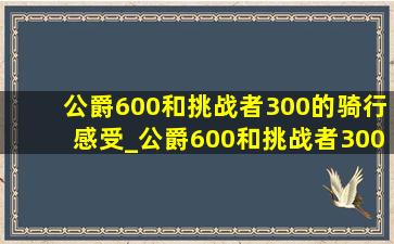 公爵600和挑战者300的骑行感受_公爵600和挑战者300骑行感受区别