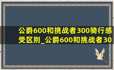 公爵600和挑战者300骑行感受区别_公爵600和挑战者300的骑行感受