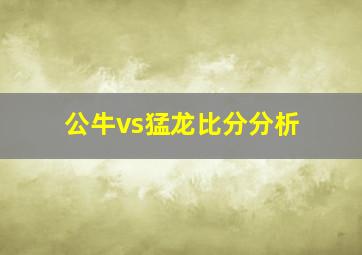 公牛vs猛龙比分分析