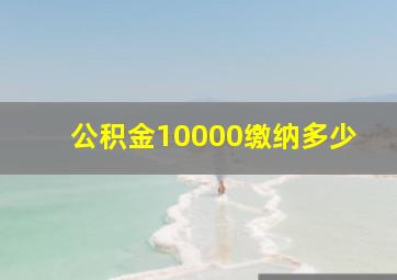 公积金10000缴纳多少