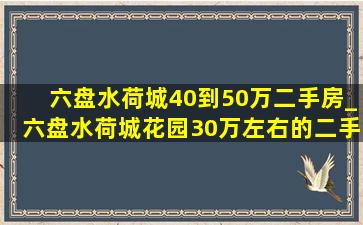 六盘水荷城40到50万二手房_六盘水荷城花园30万左右的二手房