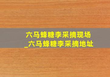 六马蜂糖李采摘现场_六马蜂糖李采摘地址