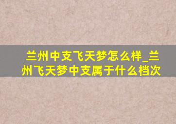 兰州中支飞天梦怎么样_兰州飞天梦中支属于什么档次