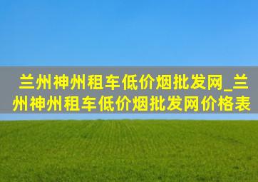 兰州神州租车(低价烟批发网)_兰州神州租车(低价烟批发网)价格表