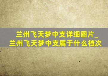 兰州飞天梦中支详细图片_兰州飞天梦中支属于什么档次