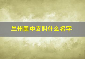 兰州黑中支叫什么名字