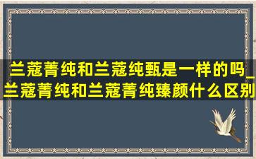 兰蔻菁纯和兰蔻纯甄是一样的吗_兰蔻菁纯和兰蔻菁纯臻颜什么区别