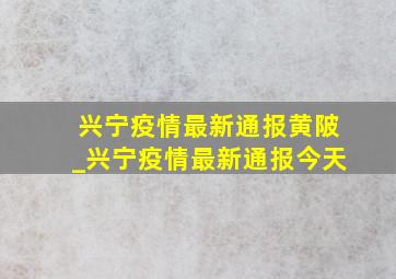 兴宁疫情最新通报黄陂_兴宁疫情最新通报今天