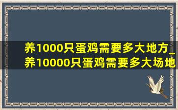 养1000只蛋鸡需要多大地方_养10000只蛋鸡需要多大场地