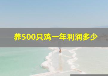 养500只鸡一年利润多少