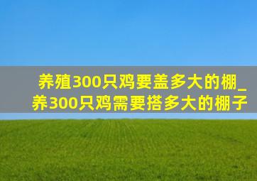 养殖300只鸡要盖多大的棚_养300只鸡需要搭多大的棚子