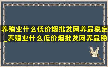 养殖业什么(低价烟批发网)养最稳定_养殖业什么(低价烟批发网)养最稳定且赚钱