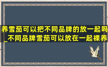 养雪茄可以把不同品牌的放一起吗_不同品牌雪茄可以放在一起裸养么