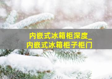 内嵌式冰箱柜深度_内嵌式冰箱柜子柜门