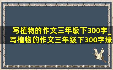 写植物的作文三年级下300字_写植物的作文三年级下300字绿萝