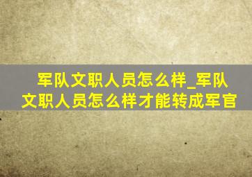 军队文职人员怎么样_军队文职人员怎么样才能转成军官