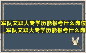 军队文职大专学历能报考什么岗位_军队文职大专学历能报考什么岗位女生