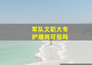 军队文职大专护理岗可报吗