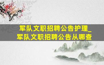 军队文职招聘公告护理_军队文职招聘公告从哪查