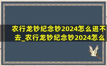 农行龙钞纪念钞2024怎么进不去_农行龙钞纪念钞2024怎么进不去了