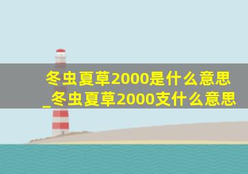 冬虫夏草2000是什么意思_冬虫夏草2000支什么意思