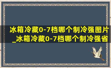 冰箱冷藏0-7档哪个制冷强图片_冰箱冷藏0-7档哪个制冷强省电夏天