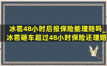 冰雹48小时后报保险能理赔吗_冰雹砸车超过48小时保险还理赔么