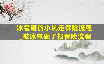 冰雹砸的小坑走保险流程_被冰雹砸了报保险流程